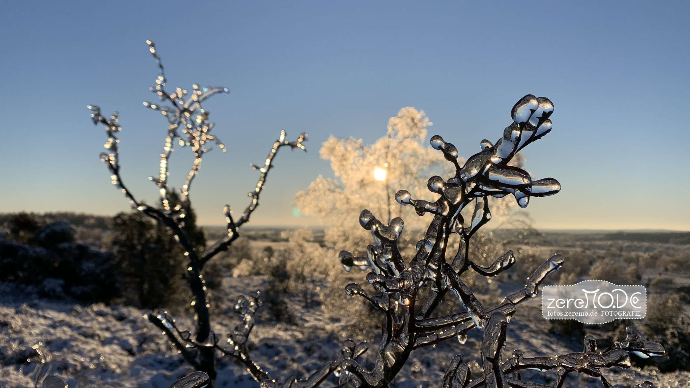 Zweig mit Eis vor einer von hinten beleuchteten Birke auf dem Wilseder Berg in der verschneiten Lüneburger Heide